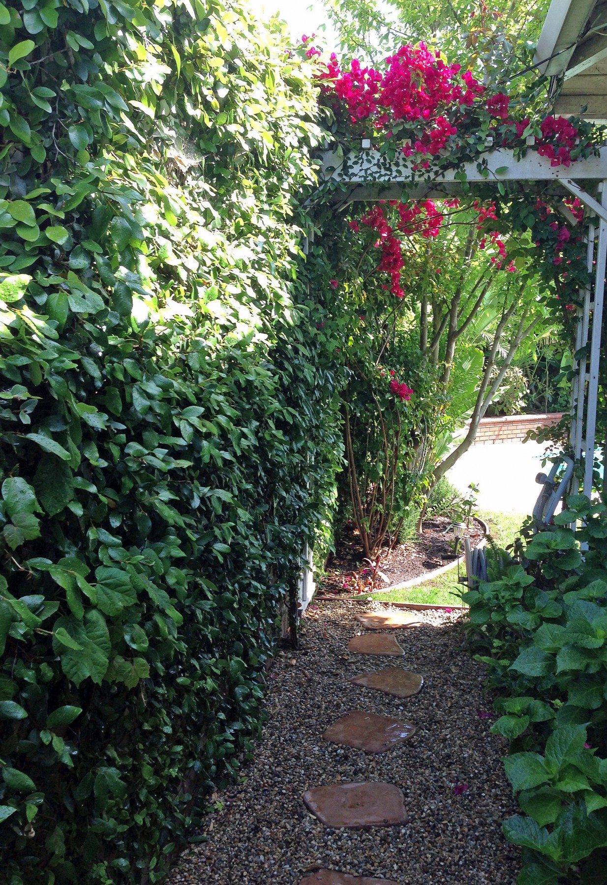 Garden Walkway